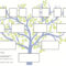006 Family Tree 800X1035 Simple Template Breathtaking Ideas For Blank Family Tree Template 3 Generations