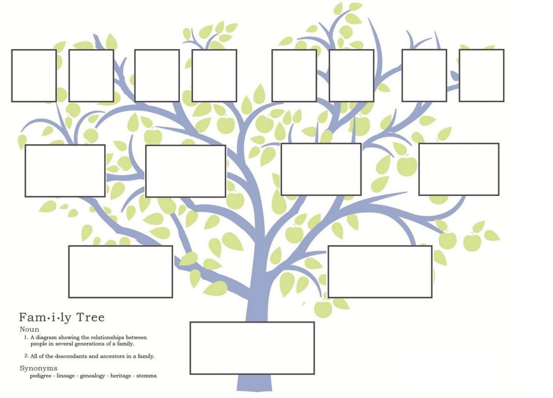 006 Family Tree 800X1035 Simple Template Breathtaking Ideas For Blank Family Tree Template 3 Generations