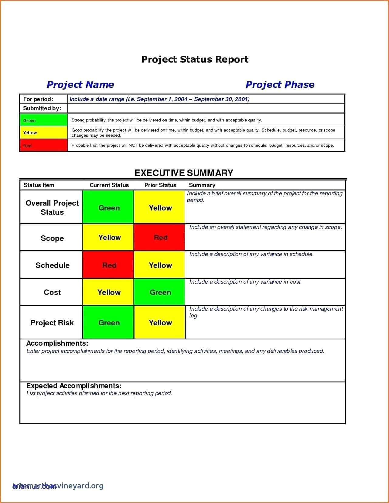 009 Project Executive Summary Template Ideas Management For Executive Summary Project Status Report Template