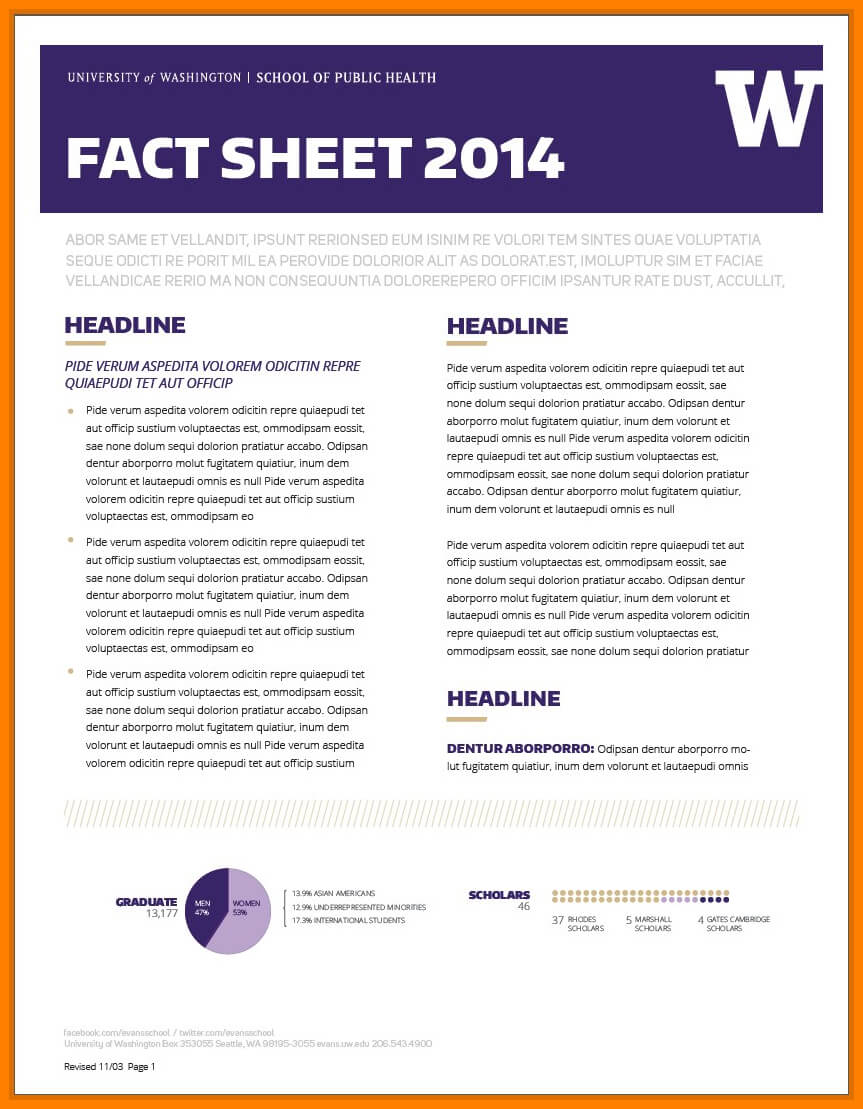 009 Template Ideas Download Fact Sheet Microsoft Worde For Fact Sheet Template Microsoft Word