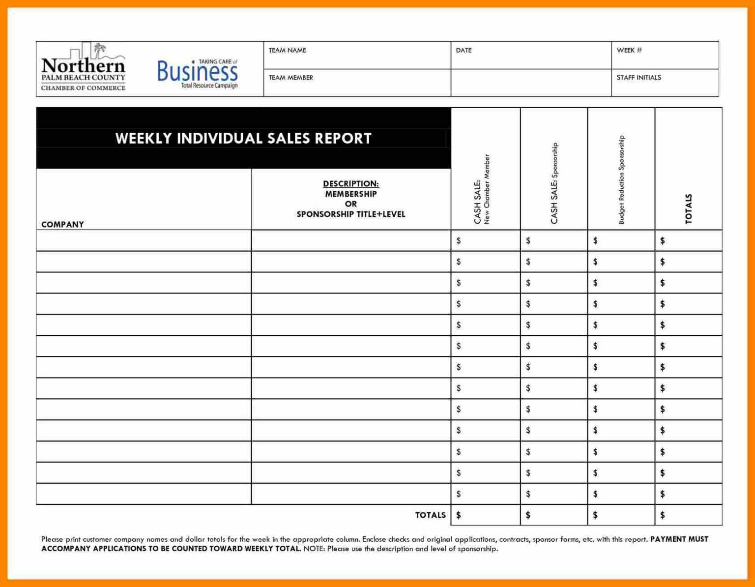 Daily Sales Call Report Template Free Download