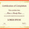 011 Template Ideas Certificate Templates Free ~ Ulyssesroom In Blank Certificate Templates Free Download