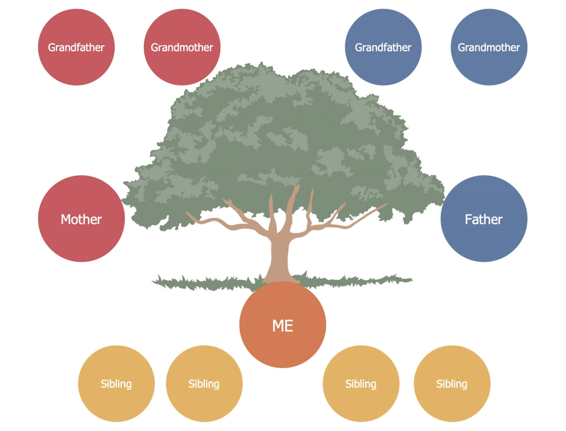 013 Family Tree Drawing Simple Template Breathtaking Ideas Within 3 Generation Family Tree Template Word