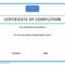 017 Template Ideas Training Certificate Of Completion For Training Certificate Template Word Format