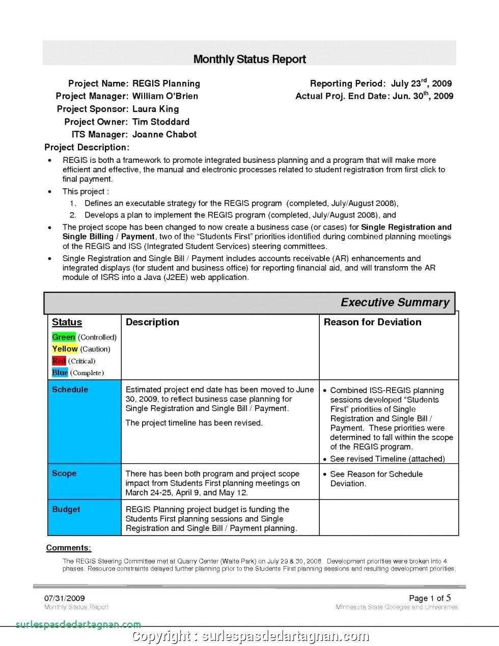 028 Monthly Sales Report Template Executive Manager Example Intended For Sales Manager Monthly Report Templates