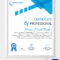 032 Word Certificate Template Free Download Samples Design Pertaining To Professional Certificate Templates For Word