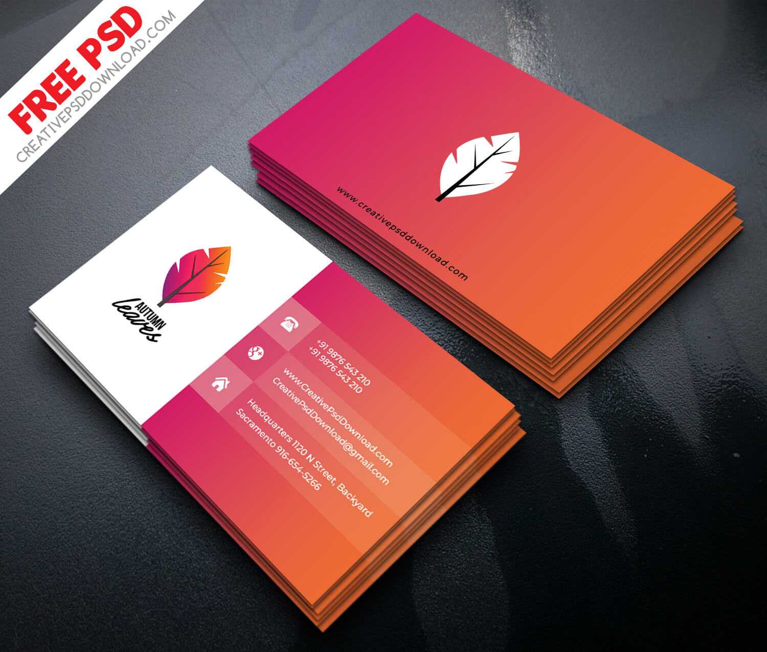 templates for business cards free download