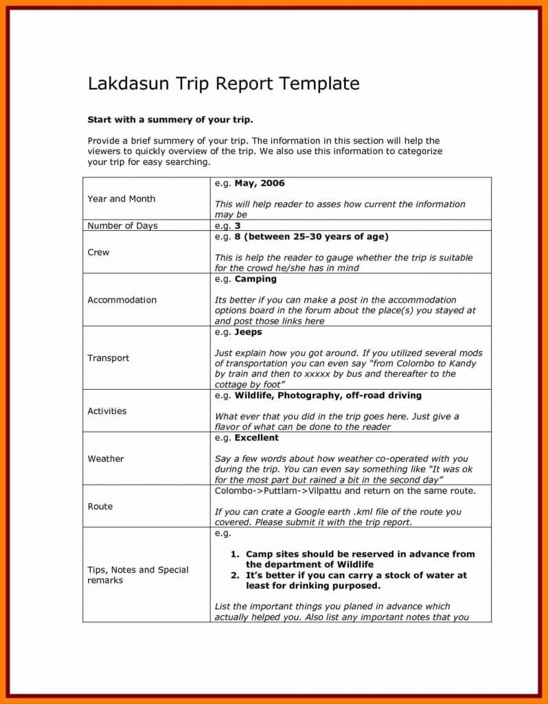 043 Business Report Template Document Development Word Trip In Customer Visit Report Template Free Download