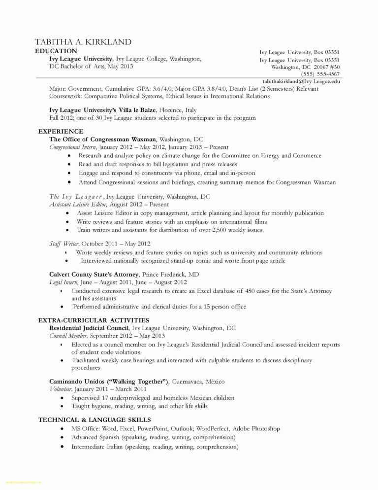 Resume Templates Word 2013