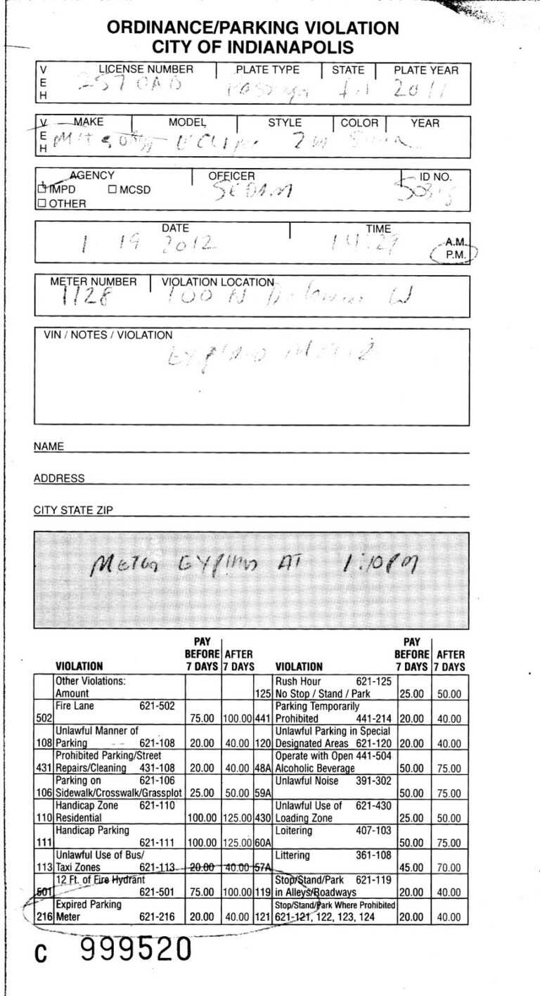 30 Images Of Parking Ticket Template Free Fodderchopper With Blank 