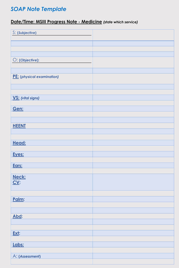 35+ Soap Note Examples (Blank Formats & Writing Tips) With Soap Note Template Word