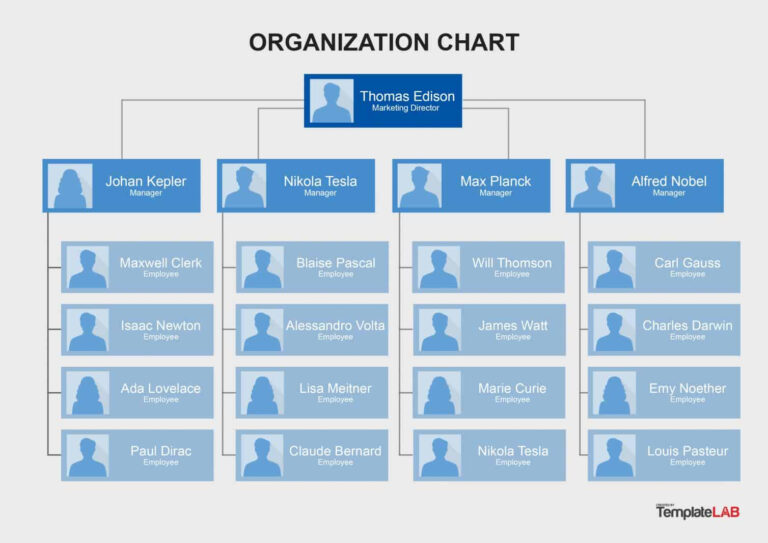 Org Chart Template Word 8704