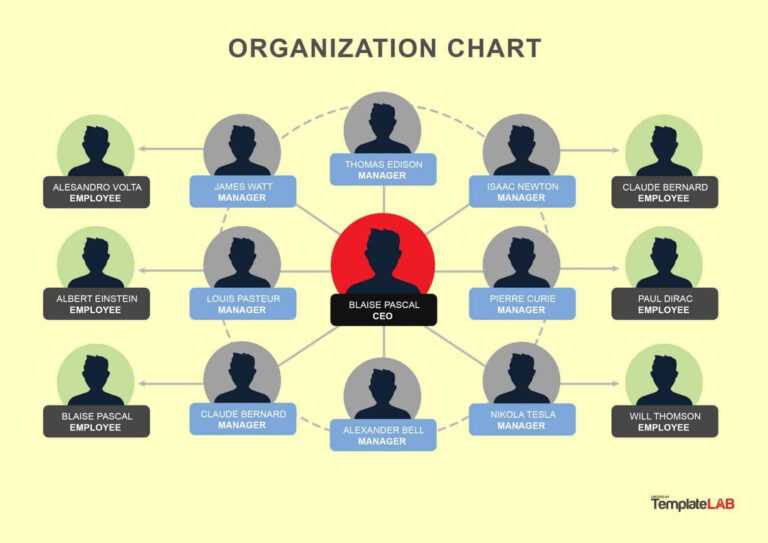 Organogram Template Word Free