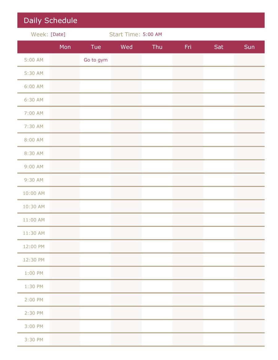 47 Printable Daily Planner Templates (Free In Word/excel/pdf) For Printable Blank Daily Schedule Template