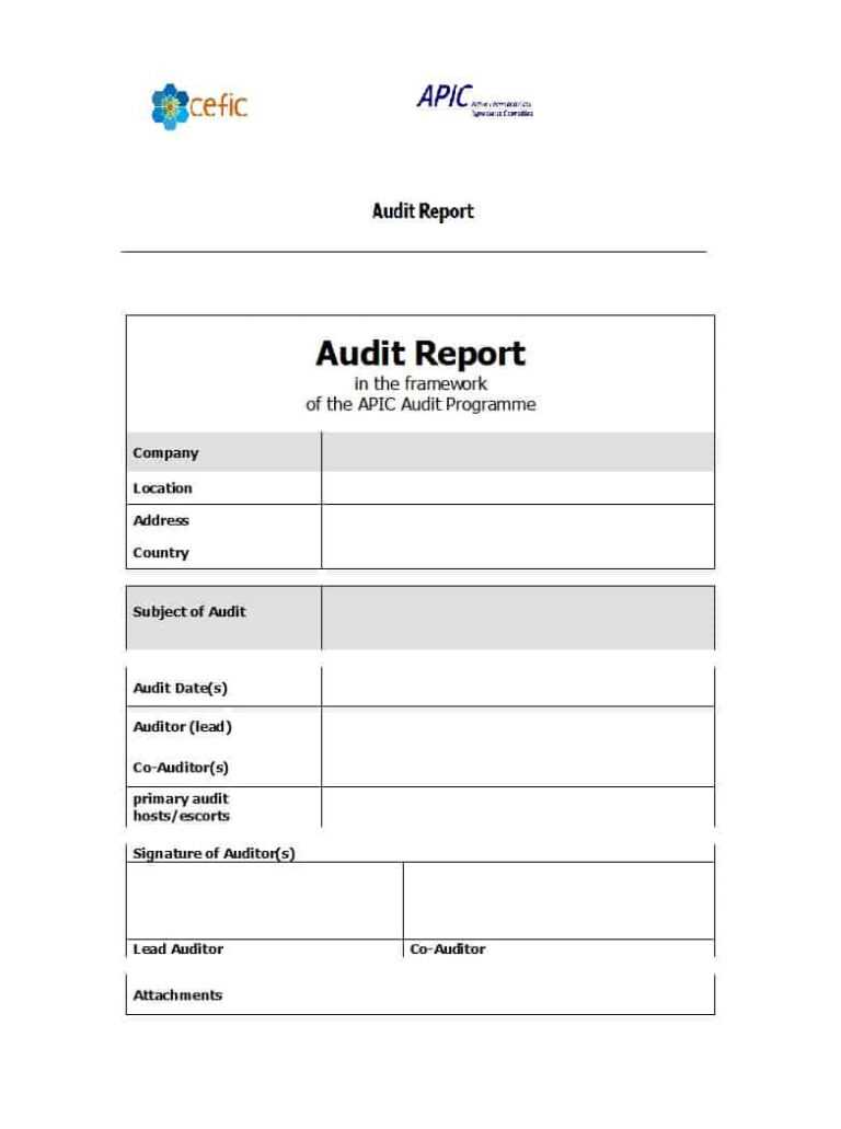 Audit Form Template