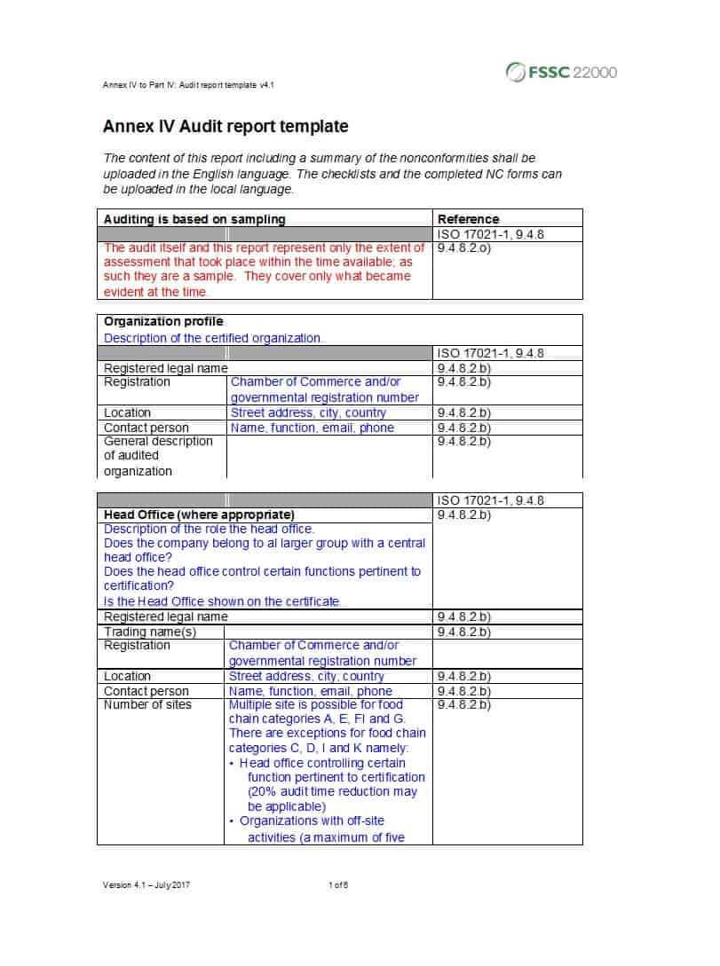 Template For Audit Report - Best Sample Template