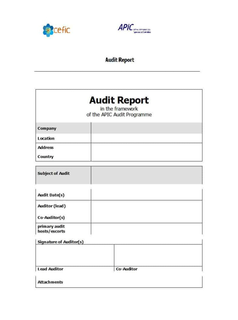 it-audit-report-template-word