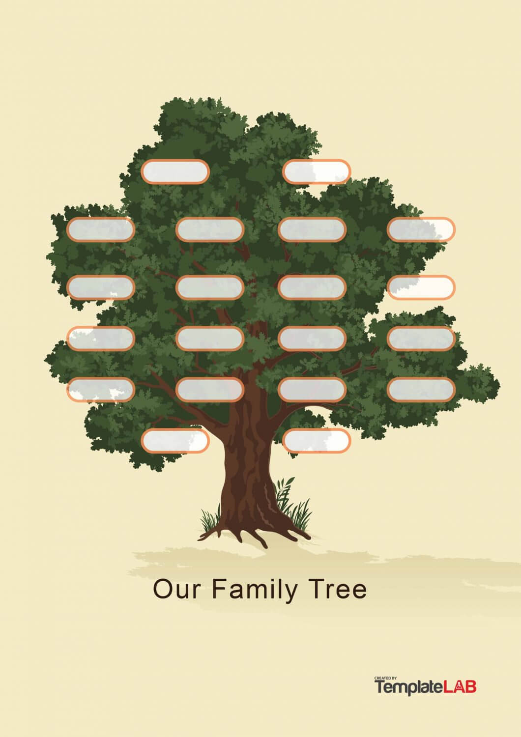 50+ Free Family Tree Templates (Word, Excel, Pdf) ᐅ Regarding 3 Generation Family Tree Template Word