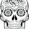 Best Coloring : Free Skull Anatomy Pages Muscular System With Regard To Blank Sugar Skull Template