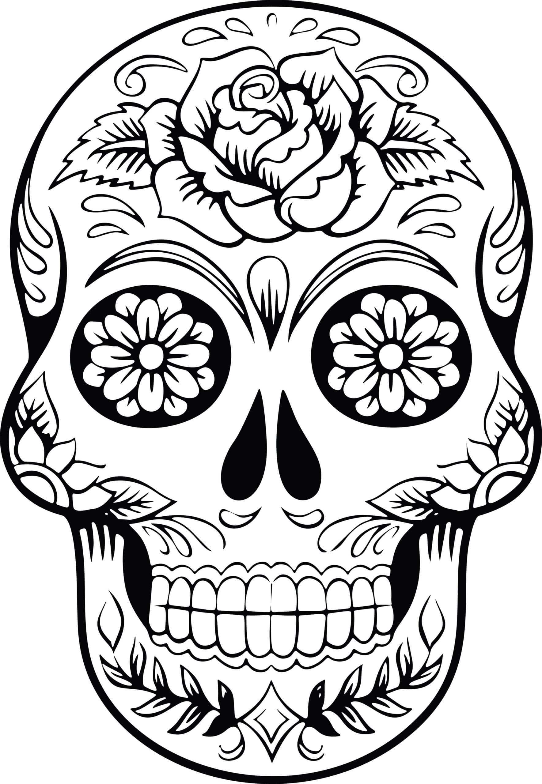 Best Coloring : Free Skull Anatomy Pages Muscular System With Regard To Blank Sugar Skull Template