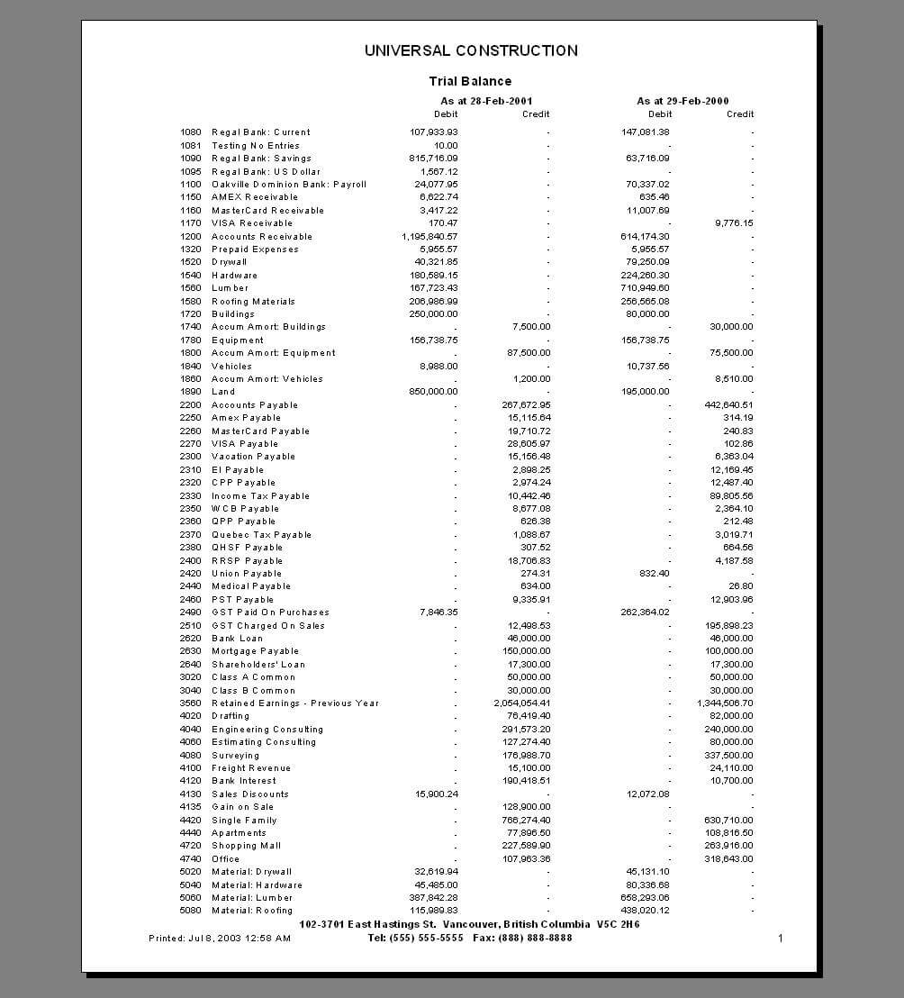 Bizman Income Statements Within Trial Report Template