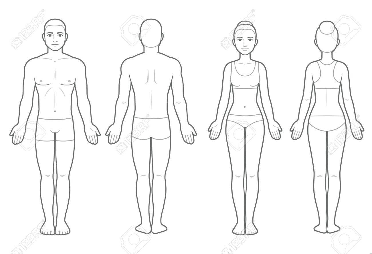 body-map-template-clipart-best