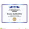 Certificate Of Achievement Template. They Are Fully And Pertaining To Blank Certificate Of Achievement Template