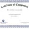 Course Certificate Template Free Training Sample Pdf With Professional Certificate Templates For Word