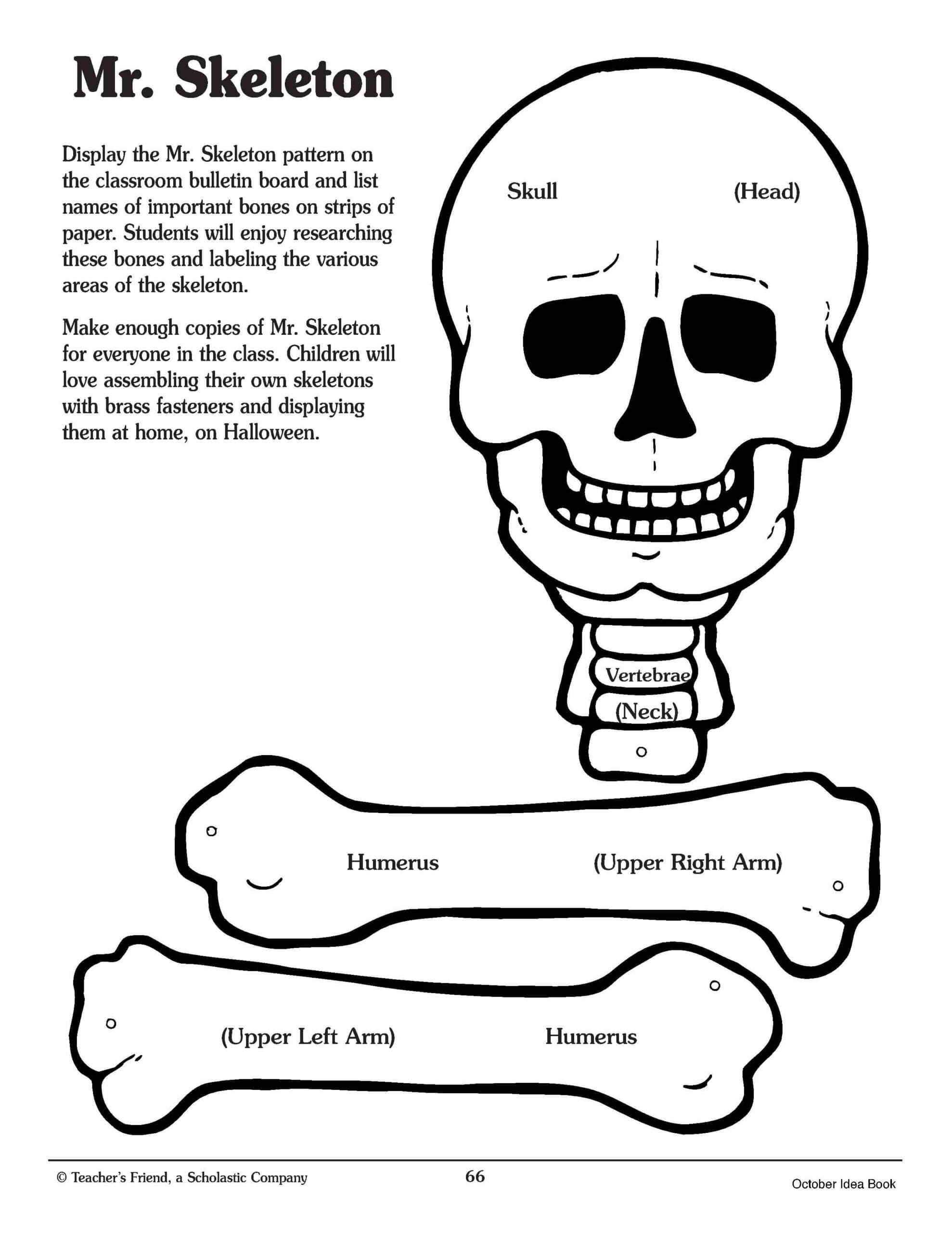 Crafty Symmetric Skeletons | Scholastic Regarding Story Skeleton Book Report Template