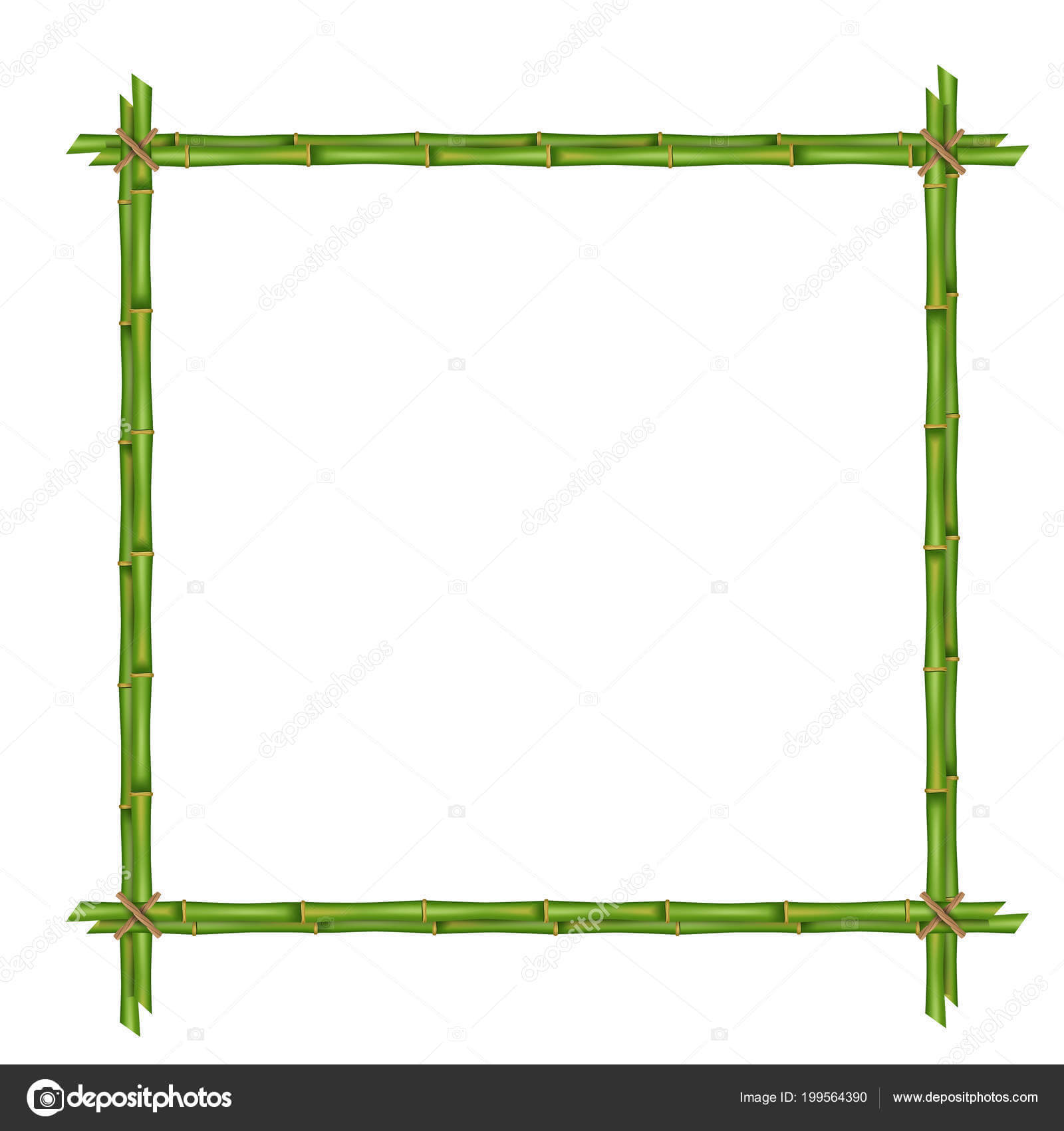 Creative Vector Illustration Bamboo Stems Frame Isolated Intended For Blank Stem And Leaf Plot Template