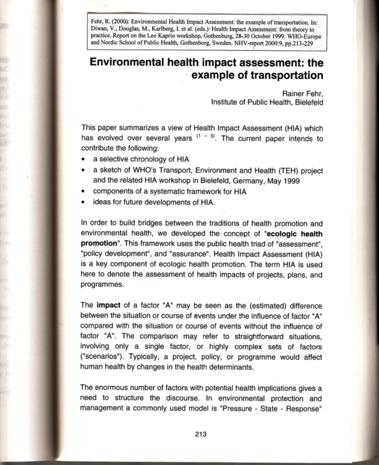 Environmental Impact Report Template