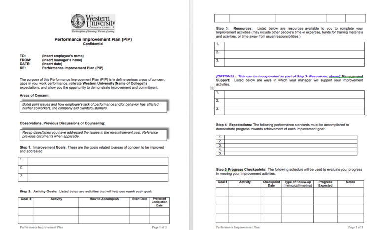 Examples Of Performance Improvement Plans For Employees In Performance Improvement Plan Template 3862