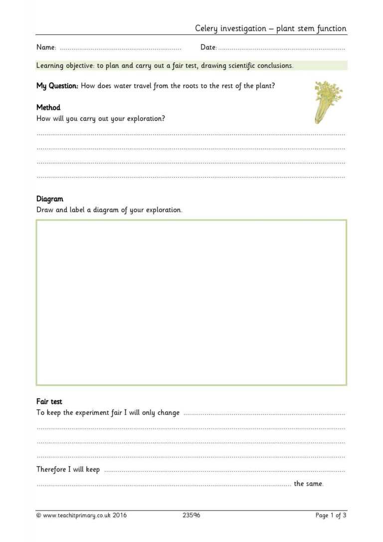 Science Report Template Ks2