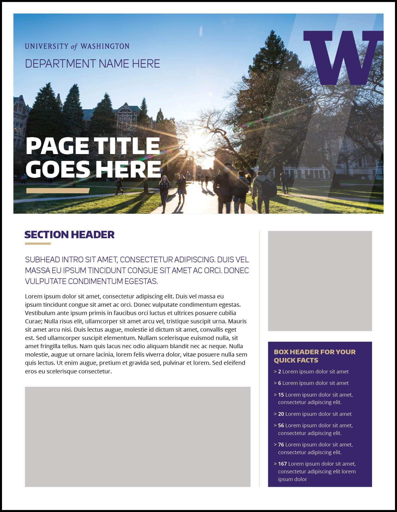 Fact Sheet | Uw Brand Throughout Fact Sheet Template Microsoft Word