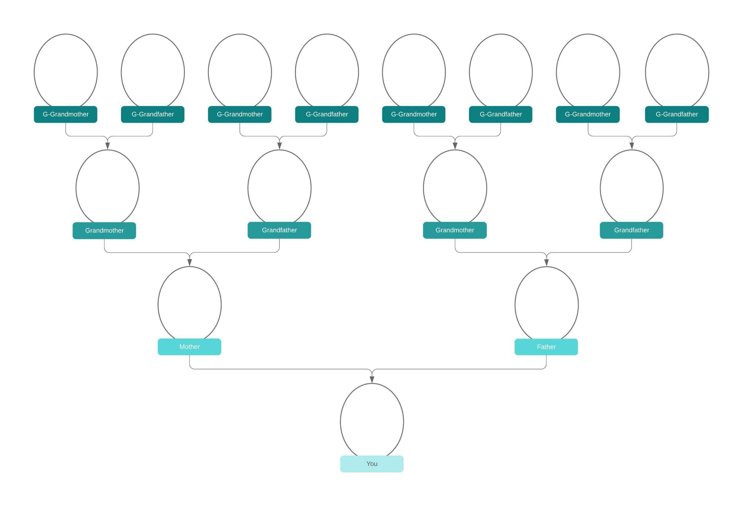 Family Tree Generator | Lucidchart Throughout Blank Tree Diagram Template