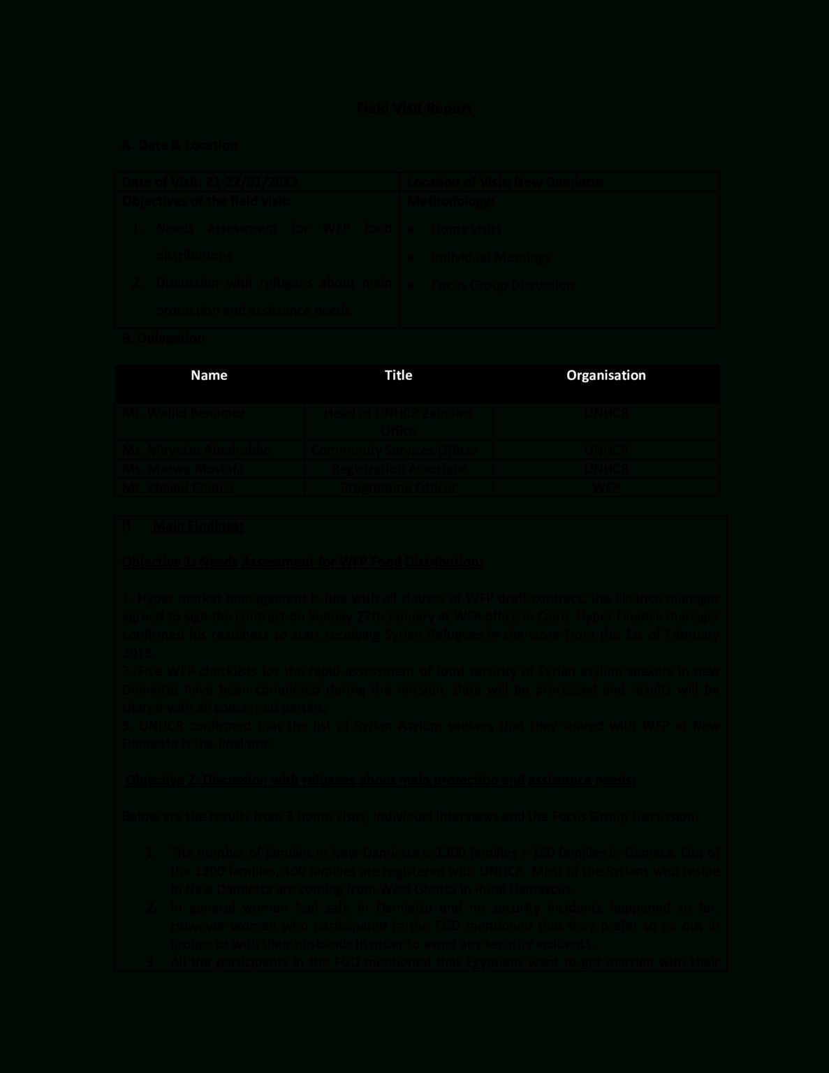Site Visit Report Template