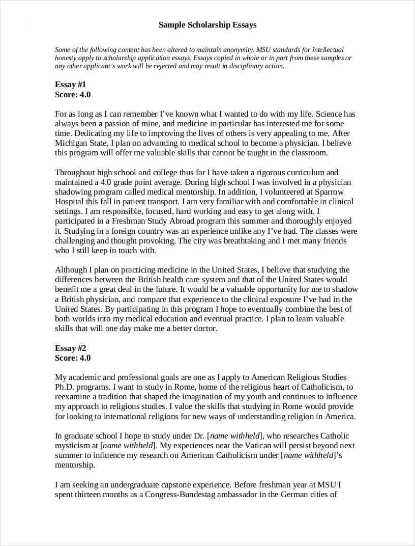 Free 9+ Scholarship Essay Examples In Pdf | Examples Throughout 500 Word Essay Template