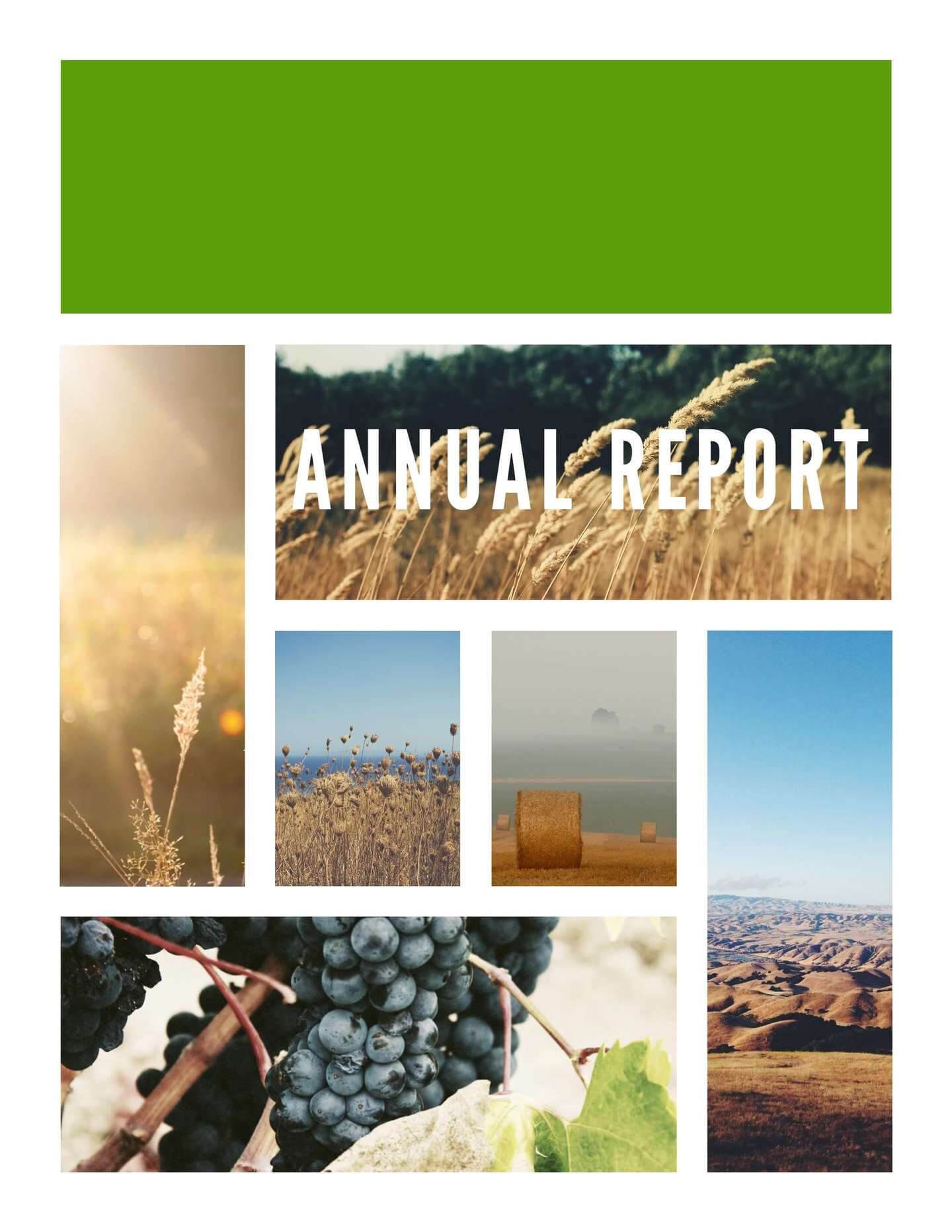 Free Annual Report Templates & Examples [6 Free Templates] Intended For Annual Report Template Word Free Download