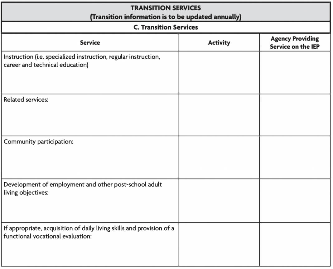 Functional Ior Assessment Report Example Format Template Intended For Daily Behavior Report Template