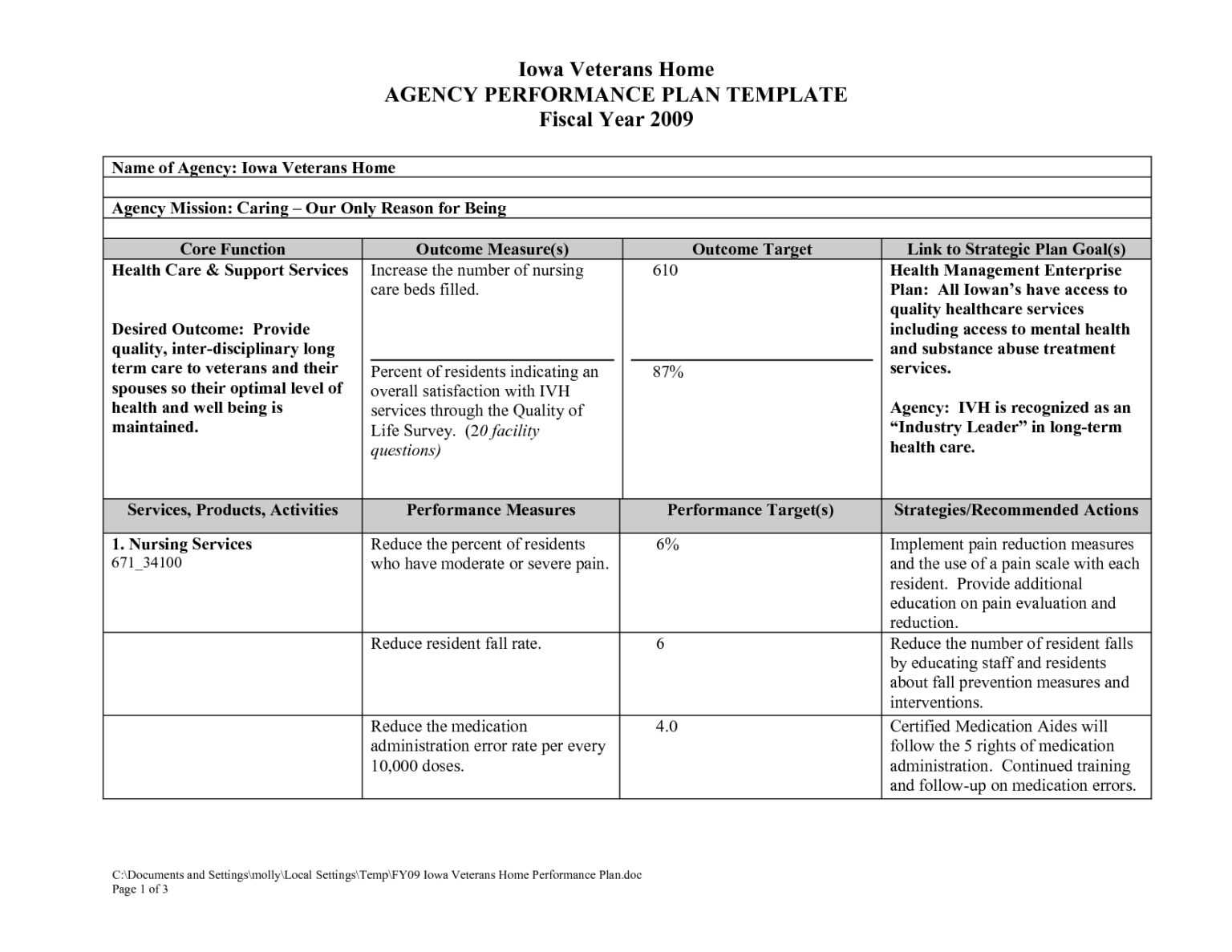 Nursing Care Plan Template Word