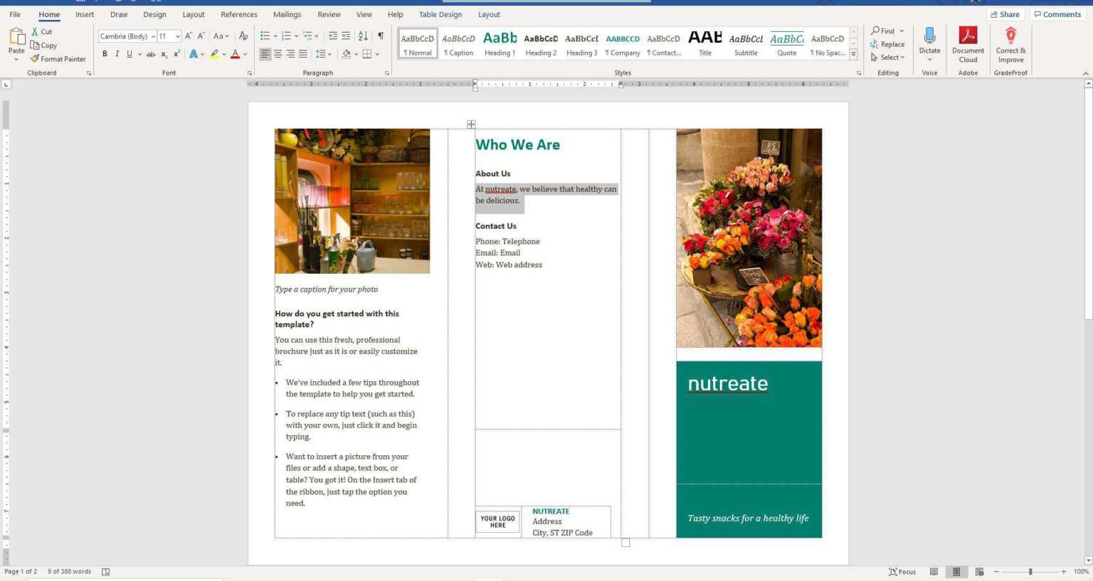 Microsoft Word Pamphlet Template