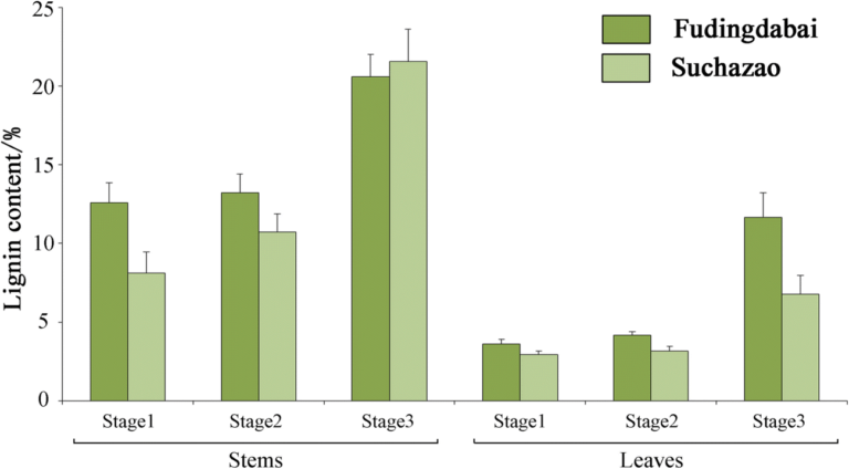 Identification Of Genes Revealed Differential Expression With Blank Stem And Leaf Plot Template identification-of-genes-revealed-differential-expression-with-blank-stem-and-leaf-plot-template