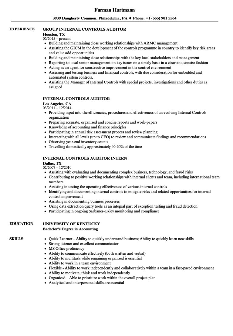 internal audit job description for resume