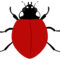 Ladybird Template. Ladybird Powerpoint Template Backgrounds Within Blank Ladybug Template