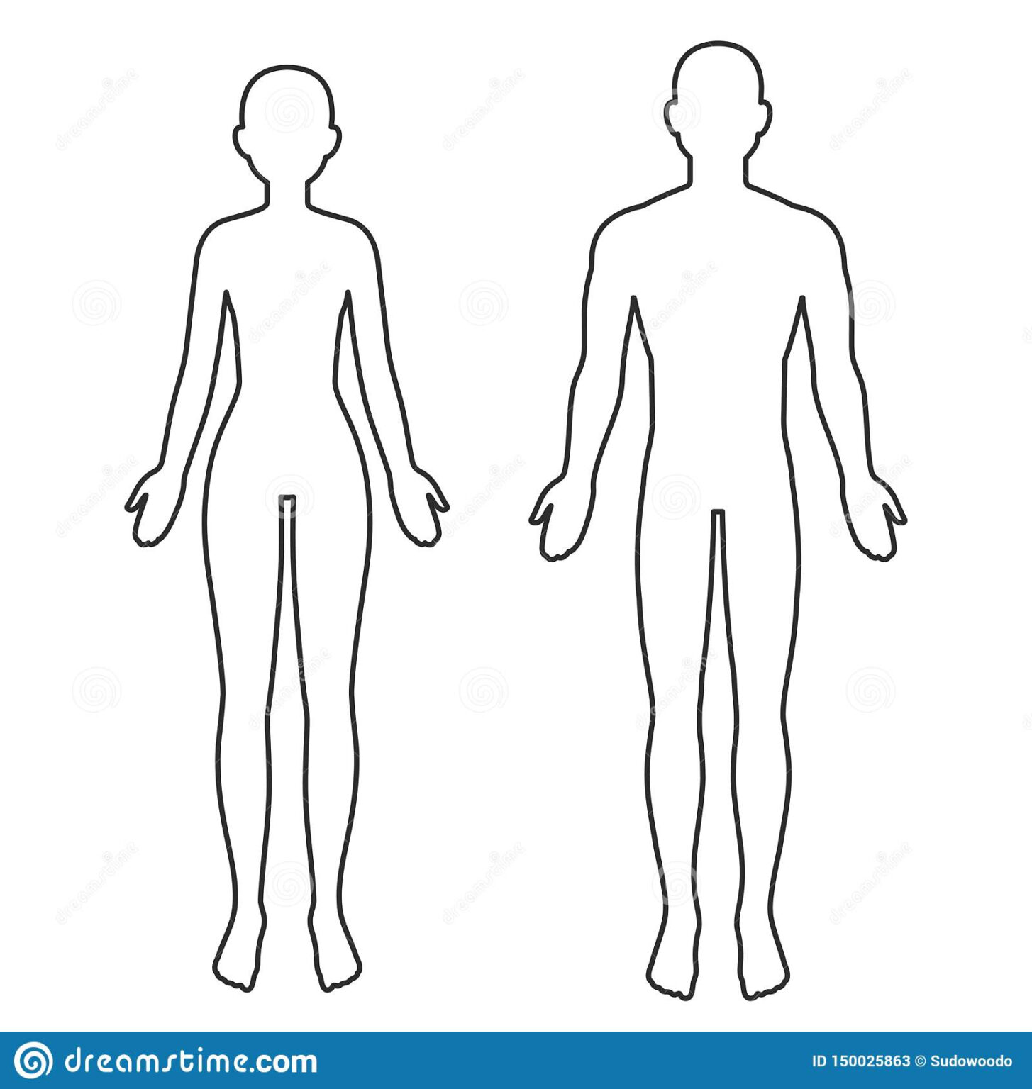 Male And Female Body Outline Stock Vector Illustration Of In Blank