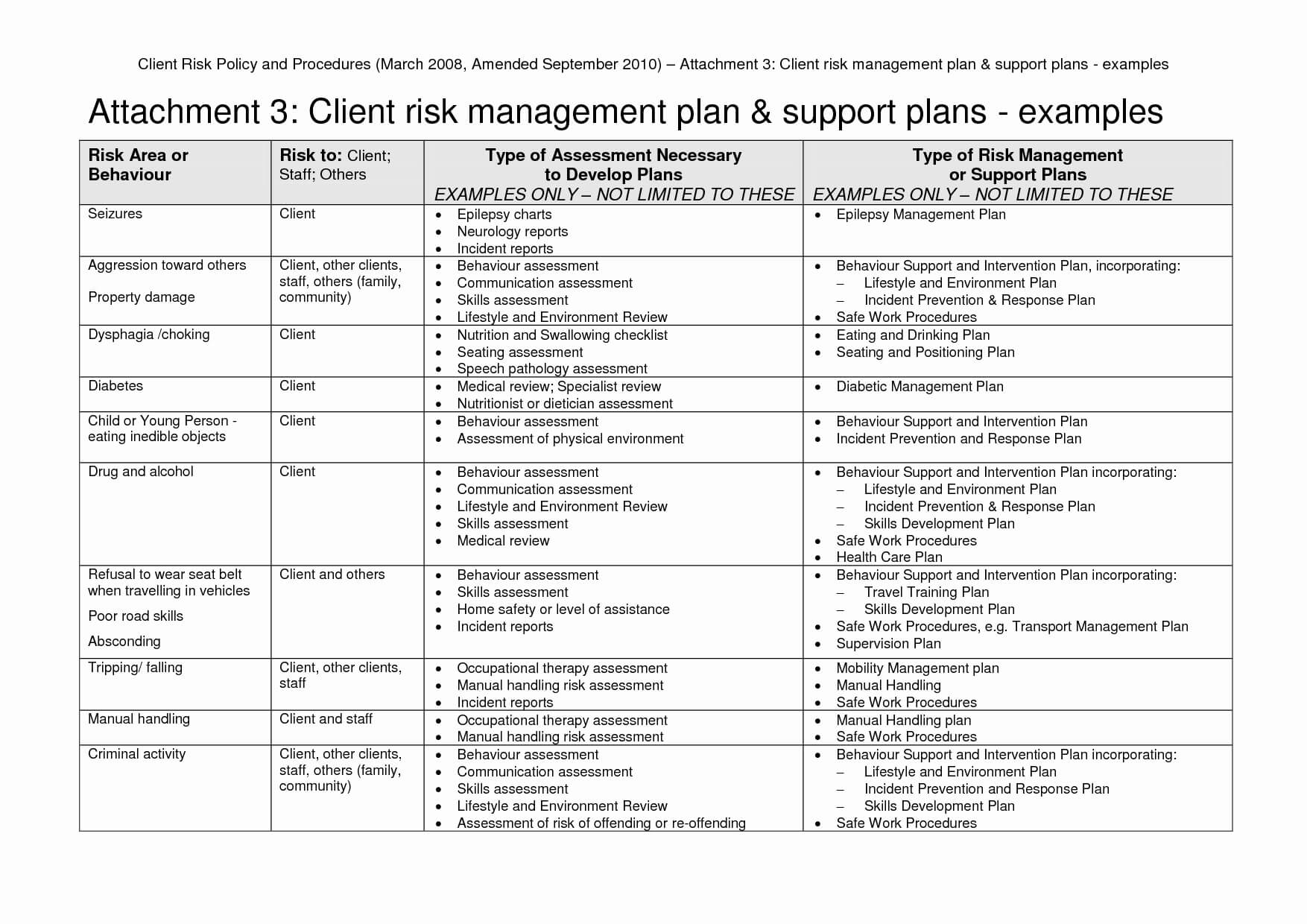 Management Plans Risk Plan Example Project Sample Pdf For For Enterprise Risk Management Report Template