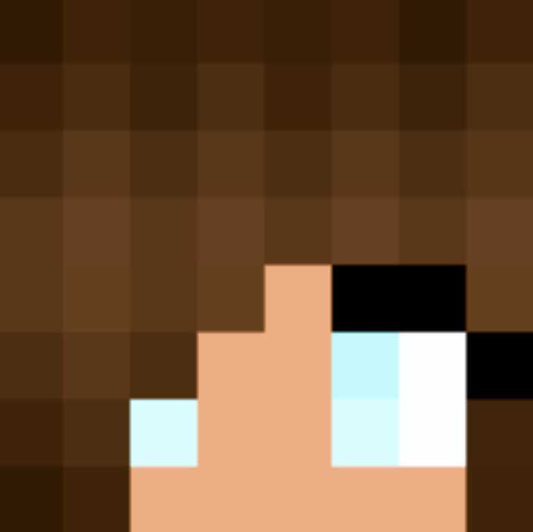 Minecraft Blank Skin Template