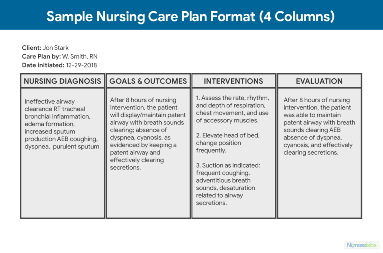 Nursing Care Plan (Ncp): Ultimate Guide And Database in Nursing Care