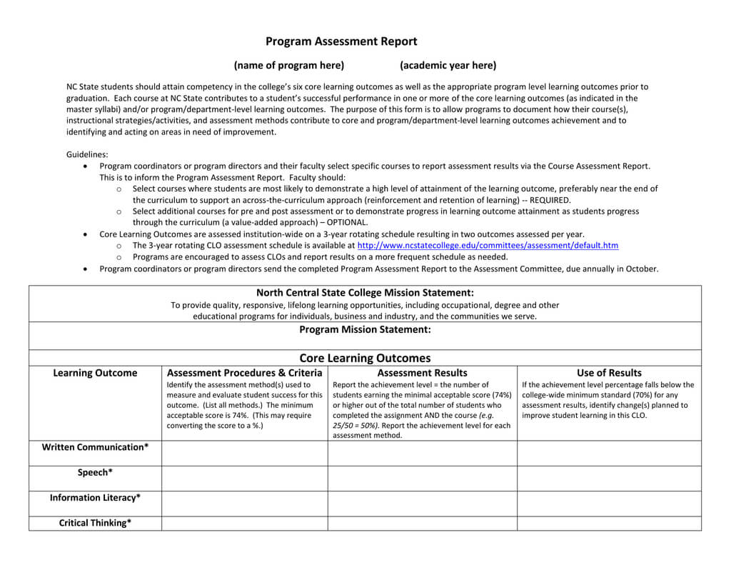 Program Assessment Report Template In Data Quality Assessment Report Template