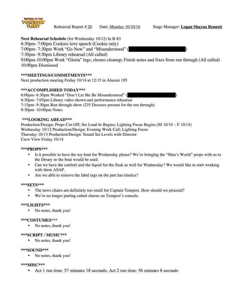 Rehearsal Report Template